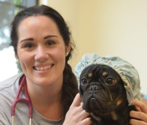 Vet with black dog with a cap on